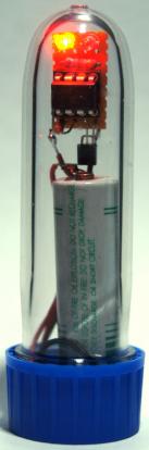 Digitalthermometer mit Batterie im PETling